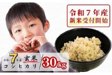 《令和7年産新米受付開始》玄米 30kg 令和7年産 コシヒカリ 岡山 あわくら源流米 K-ad-AEFA