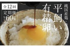 【全12回定期便】平飼い有精卵 60個《西粟倉村》【株式会社点々】t-SS-DpDA