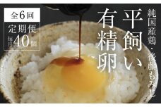 【全6回定期便】平飼い有精卵 40個《西粟倉村》【株式会社点々】t-SS-CoDA