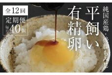 【全12回定期便】平飼い有精卵 40個《西粟倉村》【株式会社点々】t-SS-DoDA