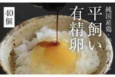 平飼い有精卵 40個　《西粟倉村》【株式会社点々】t-SS-AoDA