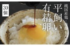 平飼い有精卵 30個　《西粟倉村》【株式会社点々】t-SS-AnDA