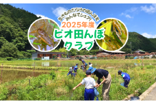 ビオ田んぼクラブ 年会費 ビオトープ 田んぼ 田植え 生き物 観察 稲刈り 米 収穫 羽釜 里山 日本酒 自然 体験 A-cz-A03A