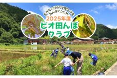 ビオ田んぼクラブ 年会費 ビオトープ 田んぼ 田植え 生き物 観察 稲刈り 米 収穫 羽釜 里山 日本酒 自然 体験 A-cz-A03A