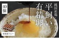 平飼い有精卵 省資源トレー 40個《西粟倉村》【株式会社点々】t-SS-AqDA