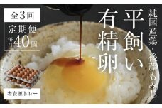【全3回定期便】平飼い有精卵 省資源トレー 40個 《西粟倉村》【株式会社点々】t-SS-BqDA