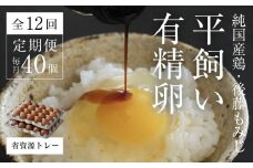 【全12回定期便】平飼い有精卵 省資源トレー 40個 《西粟倉村》【株式会社点々】t-SS-DqDA