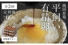 【全3回定期便】平飼い有精卵 省資源トレー 60個 《西粟倉村》【株式会社点々】t-SS-BrDA