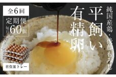 【全6回定期便】平飼い有精卵 省資源トレー 60個 《西粟倉村》【株式会社点々】t-SS-CrDA
