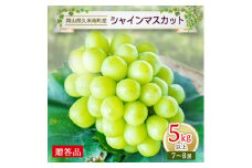 久米南シャインマスカット5kg以上(7～8房)＜贈答品＞【1016882】