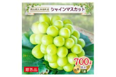 久米南シャインマスカット「特選」700g以上(1房)＜贈答用＞【1040064】