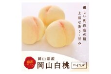 岡山県産　白桃 6玉(1.5kg以上) 等級:ロイヤル 化粧箱入り【1501092】