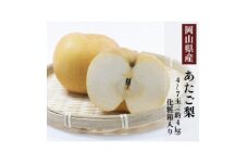 岡山県産 あたご梨 4～7玉(約4kg) 化粧箱入り【1501095】
