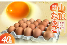 養鶏場から直送!甘くておいしい「山頂たまご」赤たまご　40個【1486633】