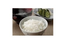 ＜食味鑑定士厳選＞岡山県産 きぬむすめ20kg(5kg×4袋)【1643922】