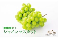 【岡山県産】 シャインマスカット約2.0kg  （3～4房） 【2025年9月上旬〜11月下旬発送予定】 ／ ぶどう ブドウ 葡萄 マスカット 種なし 種無し フルーツ 果物 くだもの 果実