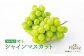 【2025年9月上旬〜11月下旬発送予定】【岡山県産】シャインマスカット約2.0kg  （3～4房）