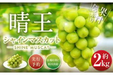 シャインマスカット 晴王 2kg ぶどう 葡萄 フルーツ 果物 岡山県 岡山県産 2025年 先行予約 【2025年9月下旬-10月下旬発送予定】