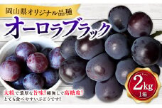 オーロラブラック 2kg ぶどう 葡萄 フルーツ 果物 岡山県 岡山県産 2025年 先行予約 【2025年8月上旬-9月下旬発送予定】