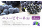 ニューピオーネ（良） 2kg