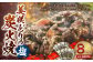 美咲どりの炭火焼（塩） 8袋（約800g）