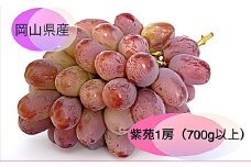 紫苑 1房（700g以上） 化粧箱入り 【2025年10月下旬～11月下旬まで発送予定】 ／ 葡萄 ぶどう 果物 果実 フルーツ 種なし 岡山県 美咲町 冷蔵