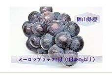 オーロラブラック 2房 （1房480g以上） 化粧箱入り 【2025年8月下旬～9月下旬まで発送予定】 ／ 葡萄 ぶどう 果物 果実 フルーツ 岡山県 美咲町 冷蔵