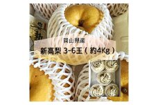 新高 梨 3～6玉 （約4kg） 化粧箱入り 【2025年9月下旬～11月上旬まで発送予定】 ／ なし 和梨 果物 果実 フルーツ 大玉 岡山県 美咲町 常温