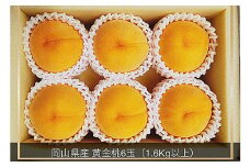 黄金桃 6玉 （1.6kg以上） 化粧箱入り 【2025年8月下旬～9月上旬まで発送予定】 ／ 黄桃 桃 もも 果物 果実 フルーツ 岡山県 美咲町 冷蔵