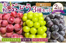大粒 ぶどう 3種 セット 3房 計約2kg シャインマスカット ピオーネ クイーンニーナ 【2025年10月上旬～12月上旬発送予定】 ／ マスカット 葡萄 ブドウ 種無し 種なし