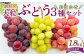 訳あり 大粒 ぶどう 3種 セット 3～4房 計約1.8kg シャインマスカット・ピオーネ等 おまかせ