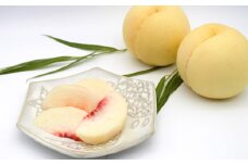 【ご家庭用】 岡山白桃 4~5玉 計約1.2kg 【2025年6月下旬～7月下旬発送予定】 ／ 白桃 桃 もも モモ