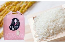 備前乙女米 白米 2kg×1袋【2025年10月下旬～2026年9月下旬発送予定】 ／ お米 米 おこめ こめ コメ ご飯 精米 ライス モチモチ 石原果樹園 岡山県 美咲町