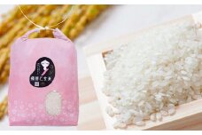 備前乙女米 白米 5kg×2袋（計約10kg）【2025年10月下旬～2026年9月下旬発送予定】 ／ お米 米 おこめ こめ コメ ご飯 精米 ライス モチモチ 石原果樹園 岡山県 美咲町