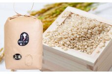 備前乙女米 玄米 10kg×1袋【2025年10月下旬～2026年9月下旬発送予定】 ／ お米 米 おこめ こめ コメ ご飯 ライス モチモチ 石原果樹園 岡山県 美咲町