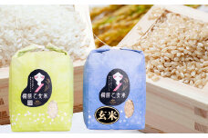 備前乙女米 白米 2kg×1袋・玄米 2kg×1袋（計約4kg）【2025年10月下旬～2026年9月下旬発送予定】 ／ 2種類 お米 米 おこめ こめ コメ ご飯 ライス 精米 モチモチ 石原果樹園 岡山県 美咲町