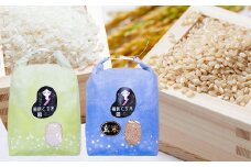 備前乙女米 白米 5kg×1袋・玄米 5kg×1袋（計約10kg）【2025年10月下旬～2026年9月下旬発送予定】 ／ 2種類 お米 米 おこめ こめ コメ ご飯 ライス 精米 モチモチ 石原果樹園 岡山県 美咲町