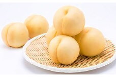 【先行予約】 しっかりした果肉と果汁たっぷりの岡山の白桃 ・ 恵白 1.5kg箱（約4個～6個） 【2025年9月上旬～2025年9月下旬発送予定】 ／ 桃 もも モモ はくとう めぐみはく 千曲白鳳 ちくまはくおう 川中島白桃 かわなかじまはくとう 交配種 果物 くだもの フルーツ デザート 冷蔵