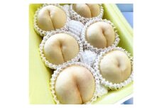 【先行予約】 希少品種 ・ 岡山の白桃 ・ 白露 2kg箱（約6個～9個） 【2025年9月発送予定】 ／ 桃 もも モモ はくとう はくろ 果物 くだもの フルーツ デザート 冷蔵