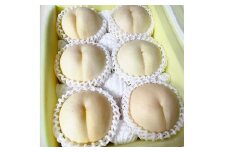 【先行予約】 希少品種の岡山の白桃 ・ CX 2kg箱（約6個～9個） 【2025年10月発送予定】 ／ 桃 もも モモ はくとう シーエックス 果物 くだもの フルーツ デザート 冷蔵