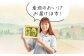 【3回定期便】岡山県産 シャインマスカット晴王計2房（1房600g以上）