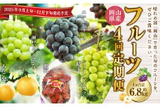 【4回定期便】岡山県産 フルーツ定期便コース （ニューピオーネ ・ シャインマスカット ・ 紫苑 ・ あたご梨） 【2025年9月上旬発送開始】 ／ 4回 葡萄 ぶどう マスカット 晴王 梨 なし 果物 果実 フルーツ 旬 定期便 岡山県 美咲町 冷蔵 常温