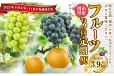 【3回定期便】岡山県産 フルーツ定期便コース （ニューピオーネ ・ 晴王 ・ あたご梨） 【2025年9月上旬発送開始】 ／ 3回 葡萄 ぶどう シャインマスカット マスカット 梨 なし 果物 果実 フルーツ 旬 定期便 岡山県 美咲町 冷蔵 常温