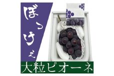 ぼっけえ大粒 ニューピオーネ 1房 （800g以上） 化粧箱入り 【2025年9月上旬～10月上旬発送予定】 ／ 葡萄 ぶどう 果物 果実 フルーツ 種なし 大粒 岡山県 美咲町 冷蔵
