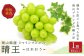 シャインマスカット晴王1房（800g以上）化粧箱入り