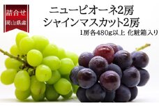 詰合 ／ ニューピオーネ 2房 ・ シャインマスカット 晴王 2房 （1房各480g以上） 化粧箱入り 【2025年9月上旬～10月上旬発送予定】 ／ 葡萄 ぶどう マスカット 果物 果実 フルーツ 種なし 詰め合わせ 詰合せ 岡山県 美咲町 冷蔵