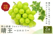 シャインマスカット 晴王 2房 （1房480g以上） 化粧箱入り 【2025年8月下旬～11月上旬発送予定】 ／ マスカット 葡萄 ぶどう 果物 果実 フルーツ 種なし 皮ごと 大粒 岡山県 美咲町 冷蔵