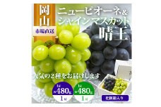 岡山県産 ぶどう詰合 ／ ニューピオーネ 1房 ・ シャインマスカット 晴王 1房 （各480g以上） 化粧箱入り 【2025年8月下旬～10月上旬発送予定】 ／ 葡萄 ぶどう マスカット 果物 果実 フルーツ 詰め合わせ 詰合せ 岡山県 美咲町 冷蔵