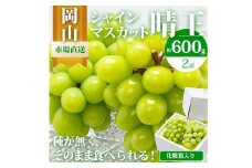 岡山県産 シャインマスカット『晴王』2房（1房600g以上） 化粧箱入り 【2025年8月下旬～10月上旬発送予定】 ／ マスカット 葡萄 ぶどう 果物 果実 フルーツ 岡山県 美咲町 冷蔵