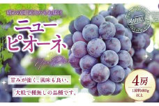 岡山県産 ニューピオーネ 4房 （1房480g以上） 約2kg 【2025年8月下旬～10月上旬発送予定】 ／ 葡萄 ぶどう 果物 果実 フルーツ 種なし 岡山県 美咲町 冷蔵